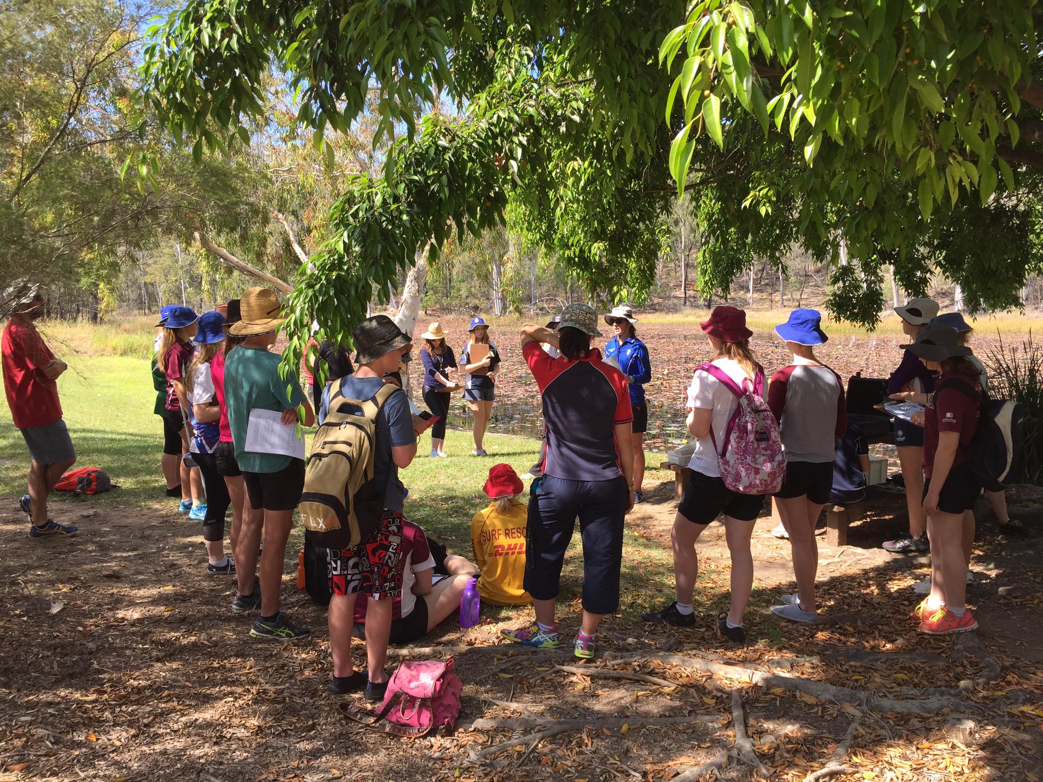 Children under a tree